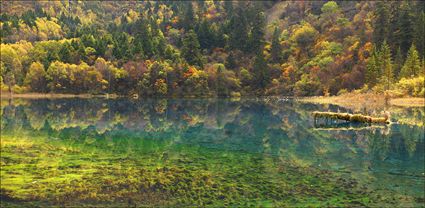 Jiuzhaigou National Park - China T (PBH4 00 15407)